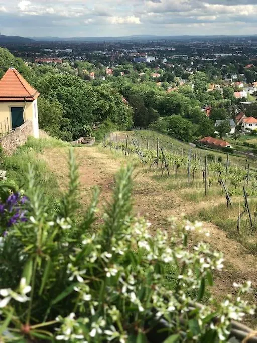 Wohlfuehl-Apartment Am Paradiesberg Radebeul 0*,